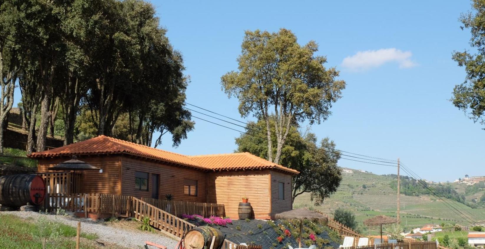 Quinta da Bandeira - Casa de Férias no Douro Martir Esterno foto
